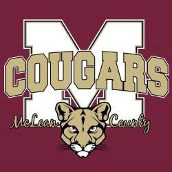 School Spirit Banner (Customizable): Cougars