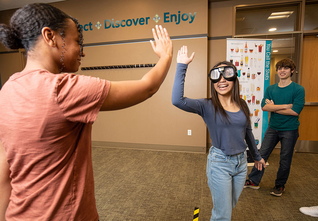 Fatal Vision® Alcohol Campaign Kit Fatal Vision® Alcohol Campaign Kit