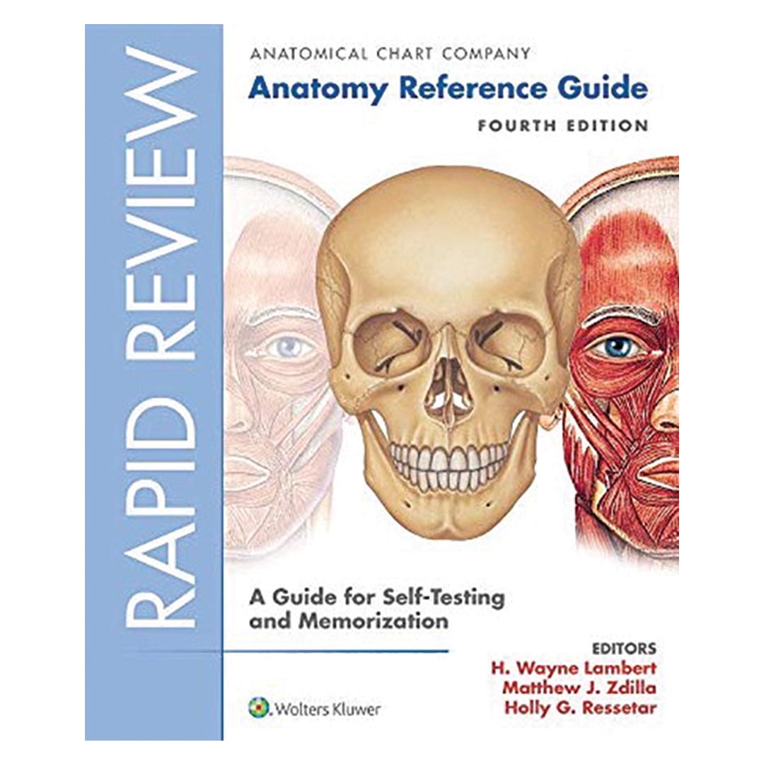 Rapid Review: Anatomy Reference Guide, 4th Edition