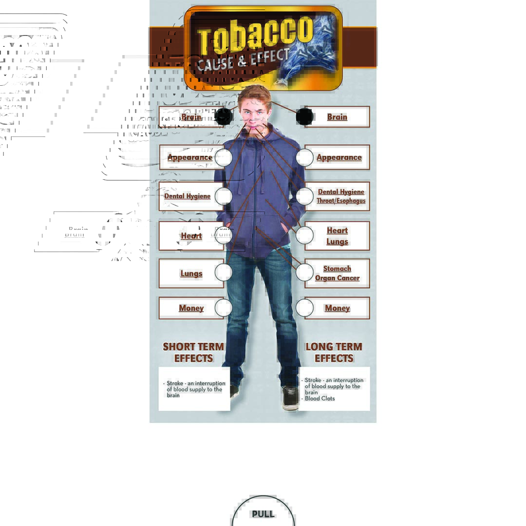 Cause & Effect: Tobacco Slide Guide Cause & Effect: Tobacco Slide Guide