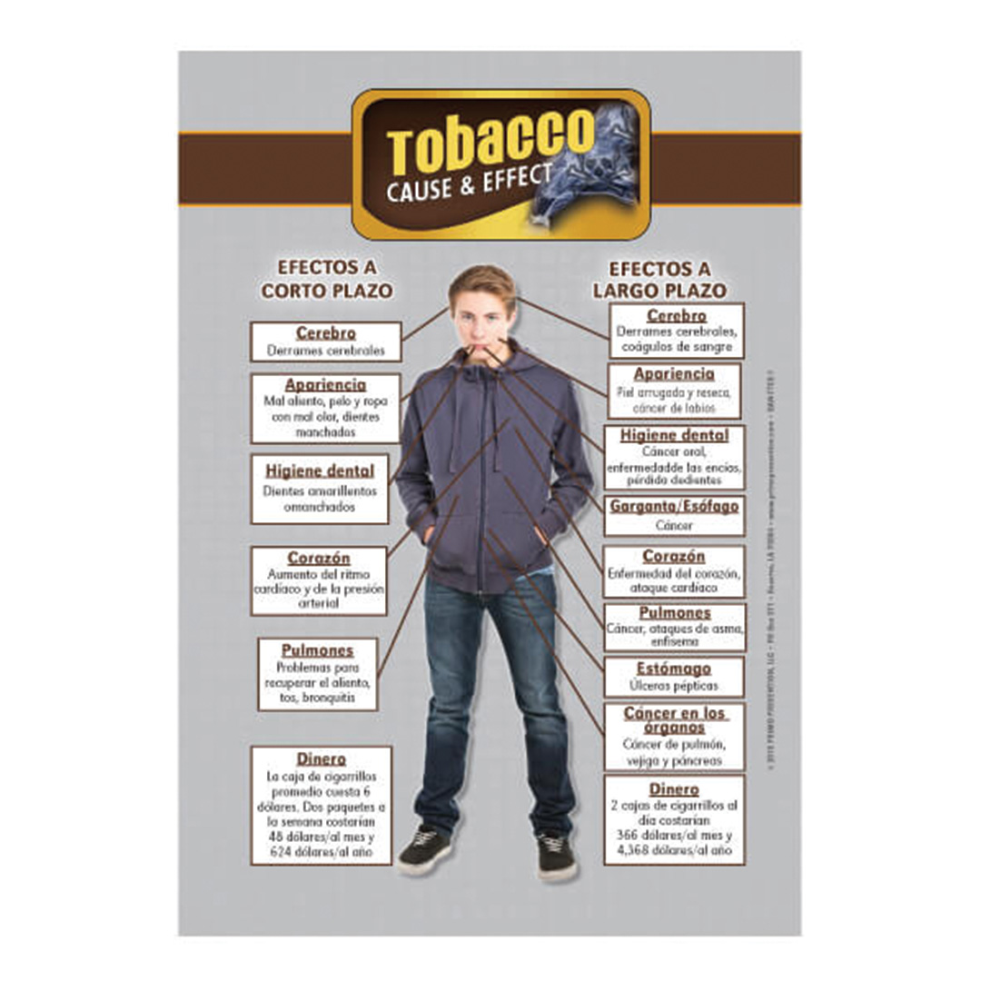 Cause & Effect: Tobacco Table Top Retractable Banner (11.5″ x 16.5″) – Spanish