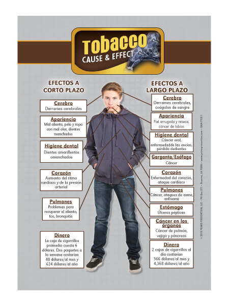 Cause & Effect: Tobacco Table Top Retractable Banner (11.5″ x 16.5″) – Spanish