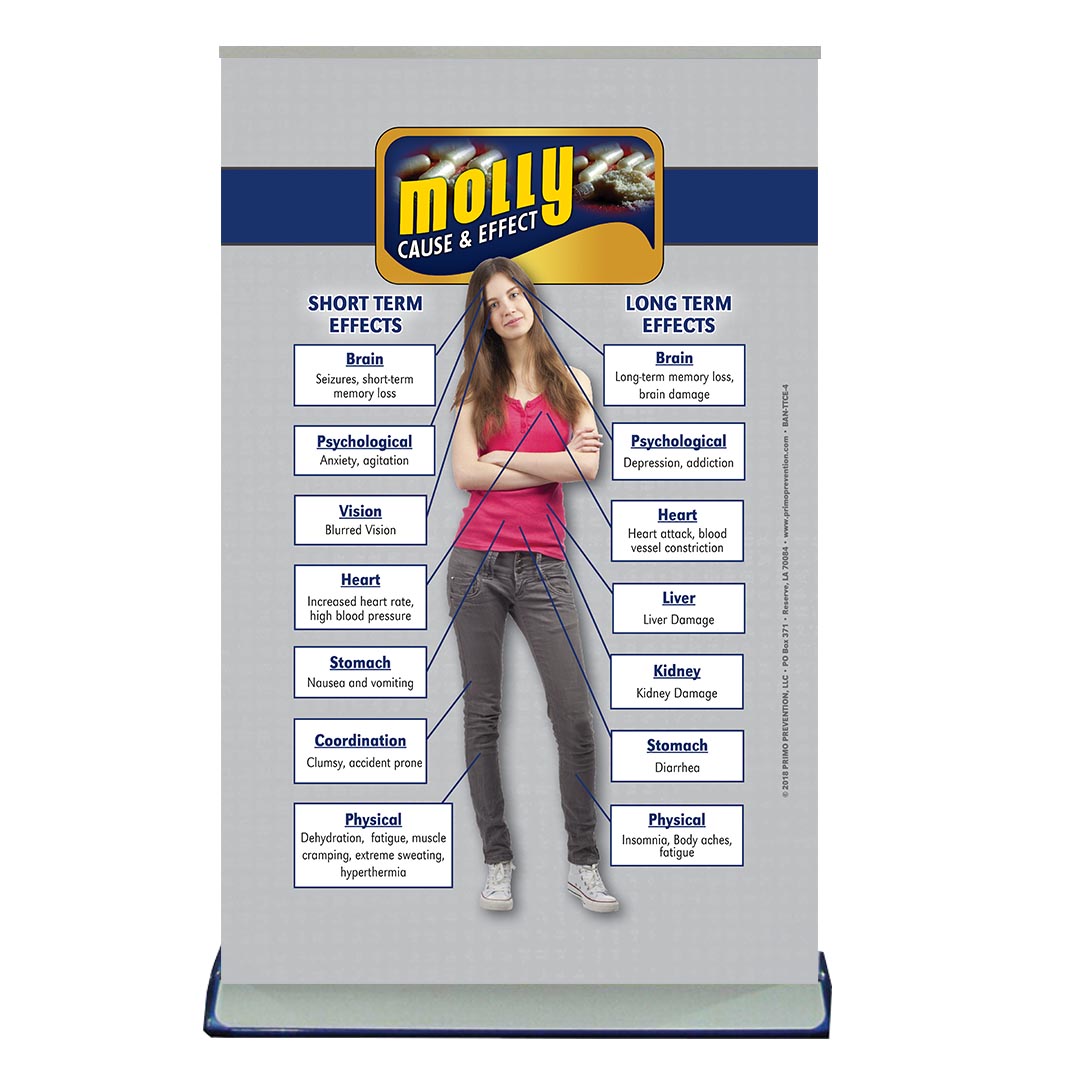 Cause & Effect: Molly Table Top Retractable Banner (11.5″ x 16.5″)