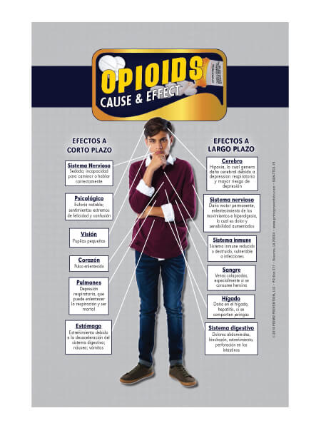 Cause & Effect: Opioids Table Top Retractable Banner (11.5″ x 16.5″) – Spanish