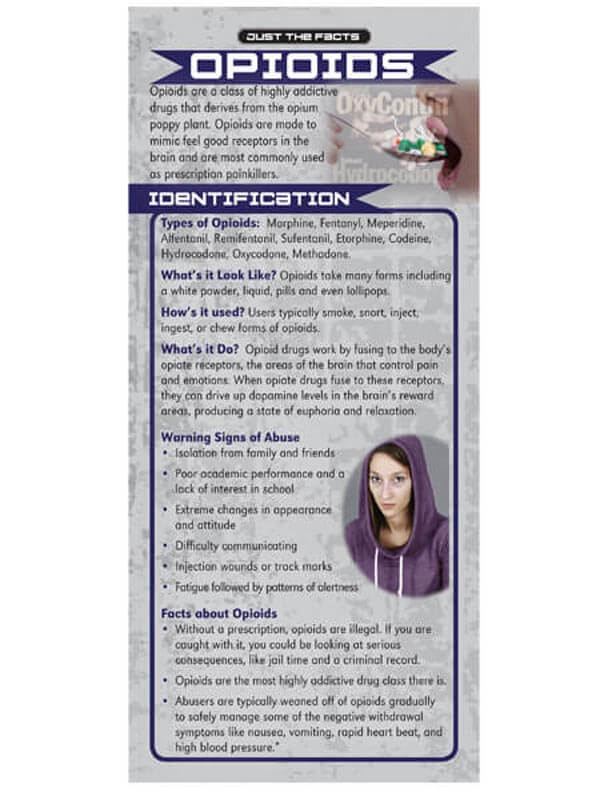 Just The Facts Rack Cards: Opioids