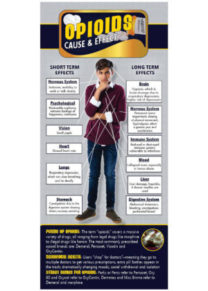 Cause & Effect Rack Cards: Opioids
