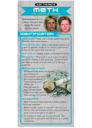 Just The Facts Rack Cards: Meth