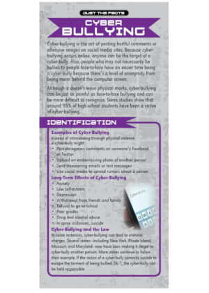 Just The Facts Rack Card: Cyber-Bullying – Set of 100