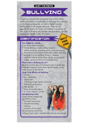 Just The Facts Rack Card: Bullying – Set of 100