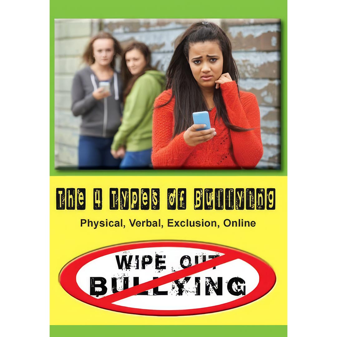 The 4 Types of Bullying - Physical, Verbal, Exclusion, Online - DVD