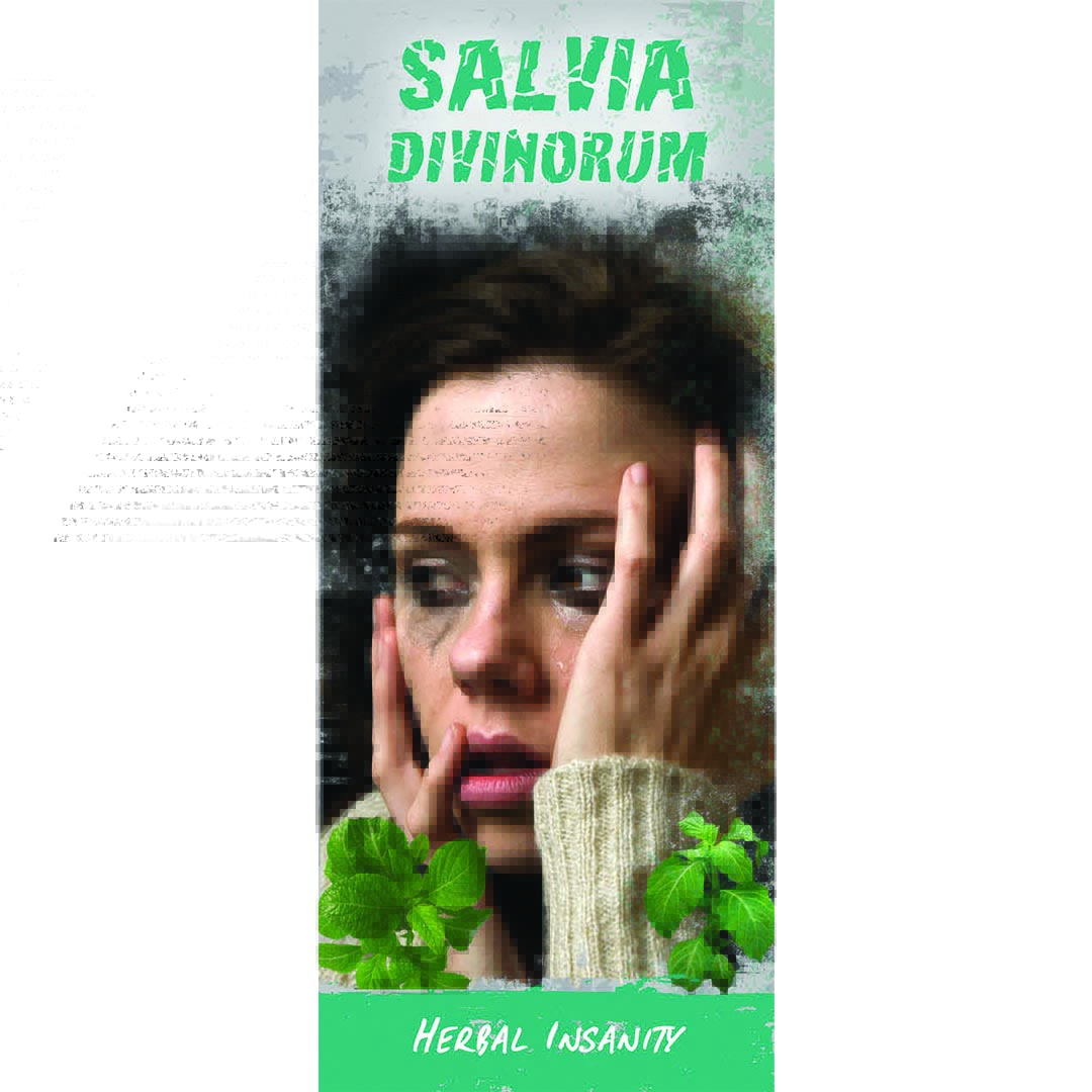 Salvia Divinorum: Herbal Insanity – Pamphlet