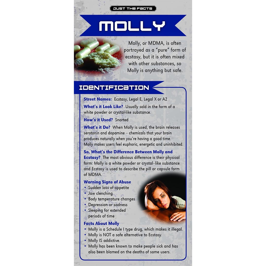 Just The Facts – Molly Rack Cards – Sold In Sets of 100