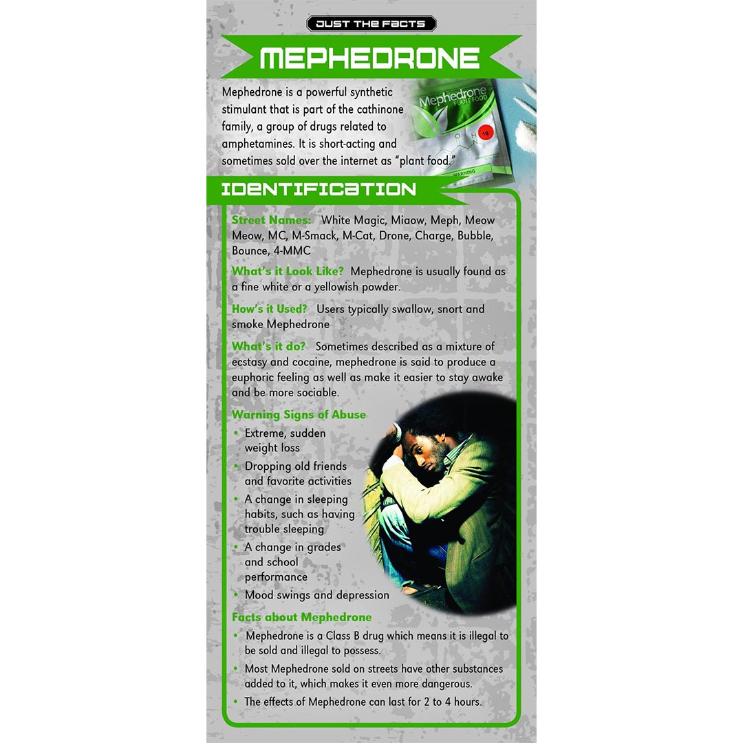 Just The Facts – Mephedrone Rack Cards – Sold In Sets of 100