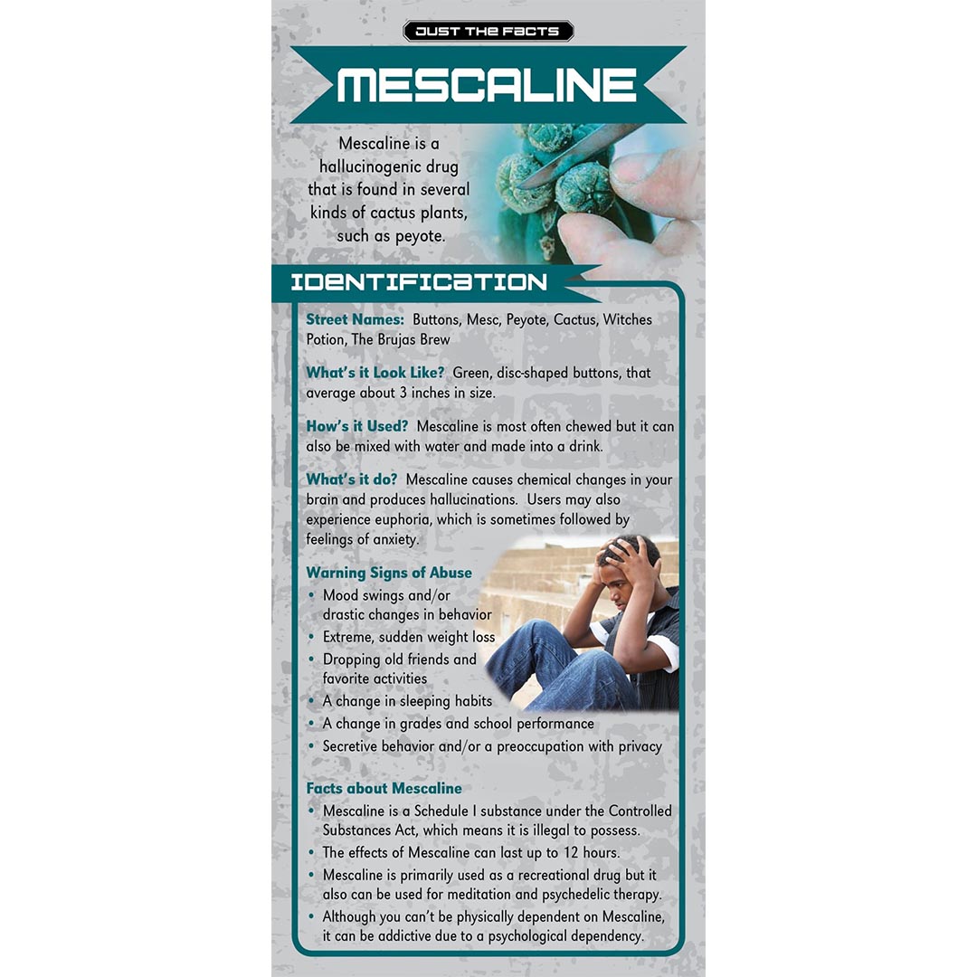 Just The Facts – Mescaline Rack Cards – Sold In Sets of 100