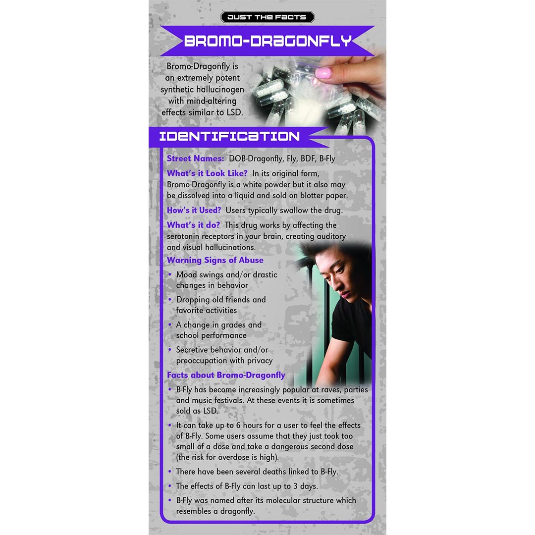 Just The Facts – Bromo – Dragonfly Rack Cards – Sold In Sets of 100