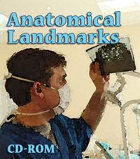 Anatomical Landmarks CD-ROM