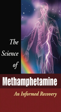 The Science of Methamphetamine DVD