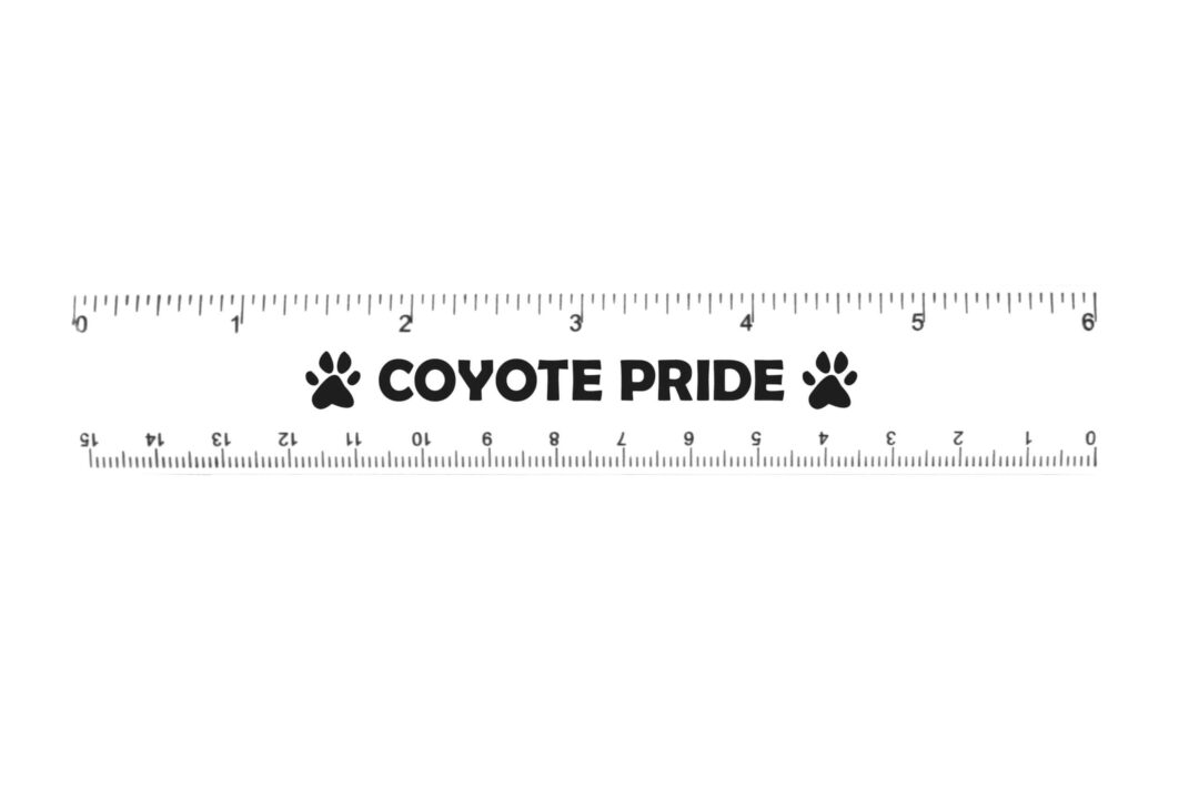 Plastic Ruler Solid or Translucent Color – Customizable