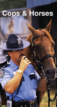 Cops & Horses DVD