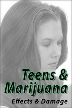 Teens and Marijuana:  Effects and Damage (DVD)