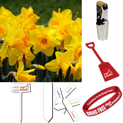 Plant the Promise YELLOW Daffodil School Package ***ships after October 1st ***