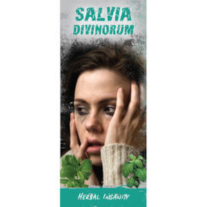 Salvia Divinorum: Herbal Insanity - Pamphlet