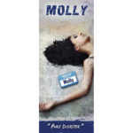 Molly: Pure Disaster Pamphlets