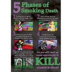 5 Phases of Smoking Death Laminated Poster