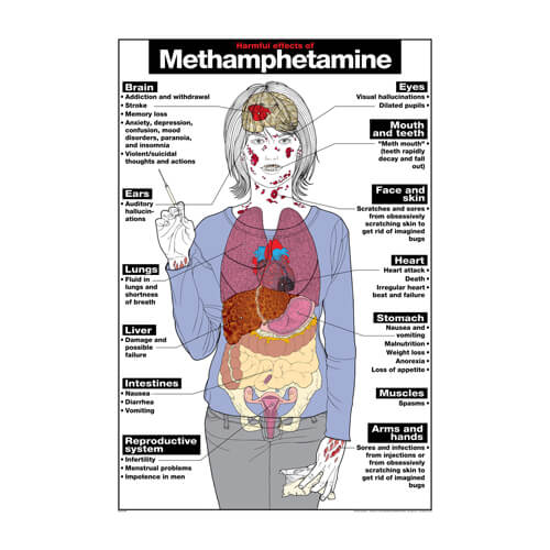 Methamphetamine Poster