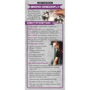 Just The Facts - Bromo - Dragonfly Rack Cards - Sold In Sets of 100