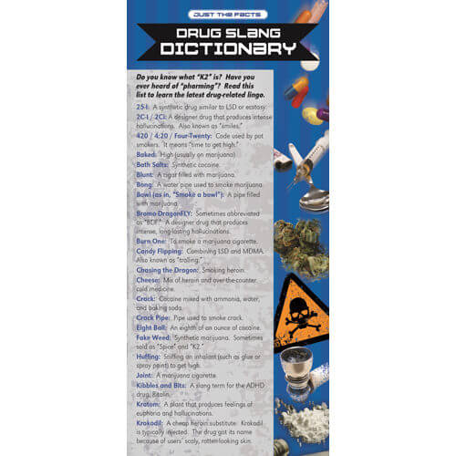 Just The Facts Drug Slang Dictionary Rack Cards Sold In Sets Of 100 