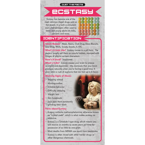 Just The Facts - Ecstasy Rack Cards - Sold In Sets of 100
