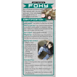 Just The Facts - Foxy Rack Cards - Sold In Sets of 100