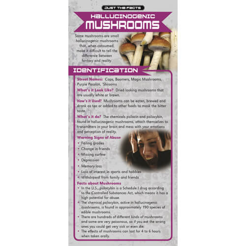 Just The Facts - Hallucinogenic Mushrooms Rack Cards - Sold In Sets of 100