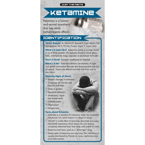 Just The Facts - Ketamine Rack Cards - Sold In Sets of 100