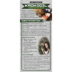 Just The Facts - Krokodil Rack Cards - Sold In Sets of 100