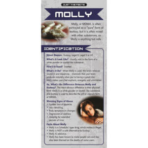 Just The Facts - Molly Rack Cards - Sold In Sets of 100