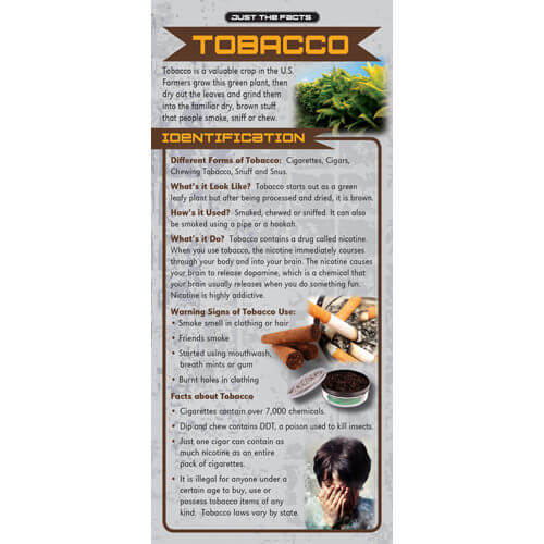 Just The Facts - Tobacco Rack Cards - Sold In Sets of 100