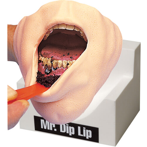Mr. Dip Lip Display