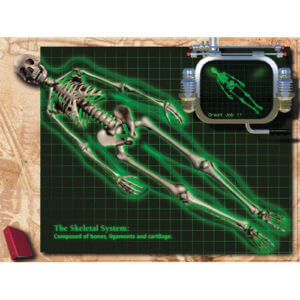 CD-Rom about Skeletal System