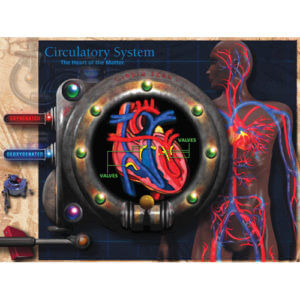 CD-ROM about Circulatory System|CD-ROM about the Circulatory System