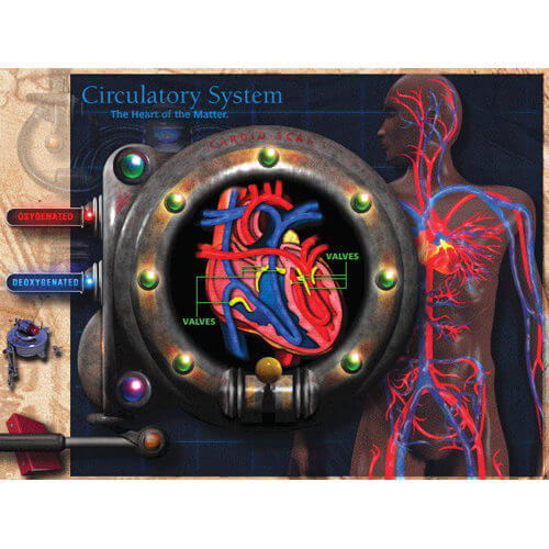 CD-ROM about Circulatory System