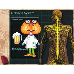 CD-ROM for the Nervous System