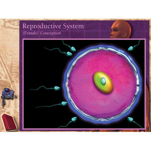 CD-ROM on Reproductive System