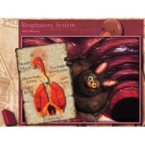 CD-ROM on Respiratory System