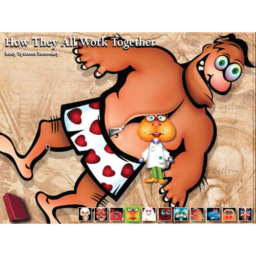 CD-ROM on How They All Work Together