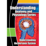 DVD about the Nervous System|DVD about the Nervous System