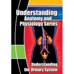 DVD about the Urinary System|DVD about the Urinary System