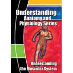DVD about the Muscular System|DVD about the Muscular System