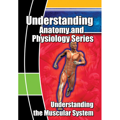 DVD about the Muscular System